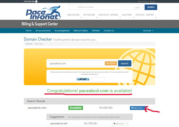 Screenshot showing how to register your own domain name step 2