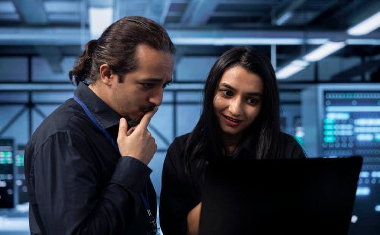 web host or hosting it suits